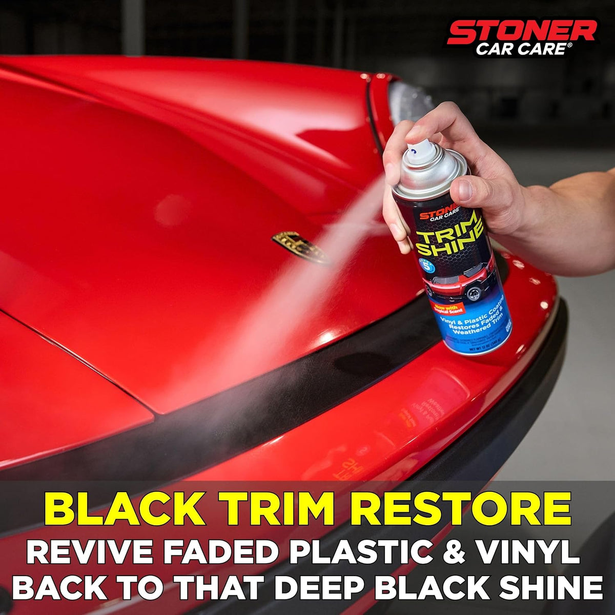 Trim Shine Black Trim Restorer, 12 Oz, 91034 (Pack of 12)